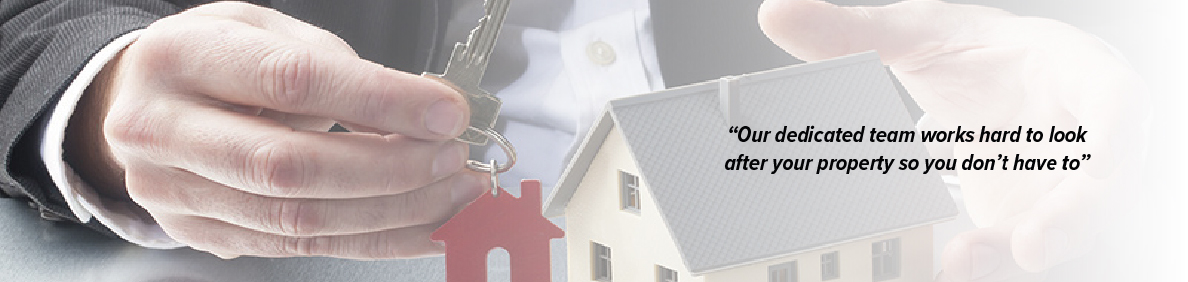 Stenford Property Limited - Lettings Specialist - Councils